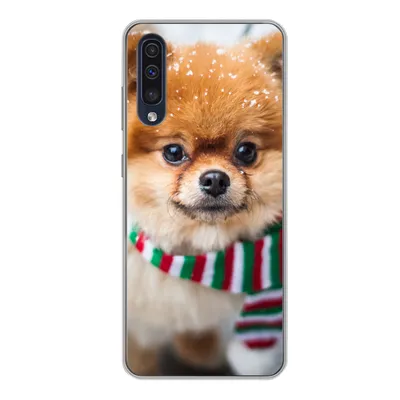 Produktbild von MuchoWow® Handyhülle Schutzhülle Hülle für Samsung Galaxy A50 Hund - Halstuch - Schnee Silikon Softcase Handy Hülle - Mobiltelefonhülle