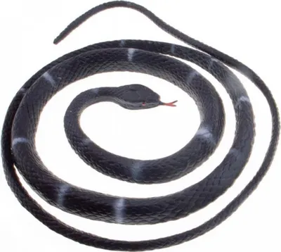 Produktbild von Schwarze Gummischlange 80 cm