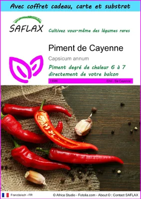 Image de SAFLAX Ensemble-cadeau - Piment de Cayenne - 20 graines - Capsicum