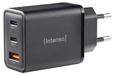 Immagine prodotto di Intenso 7806510 adattatore e invertitore Interno 65 W Nero