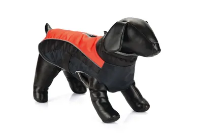 Immagine prodotto di Cappottina per cani Beeztees Saby, colore: rosso/nero, taglia: 28 cm