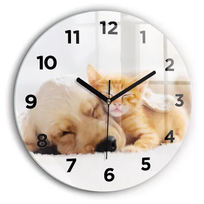 Produktbild von Wallfluent Große Wanduhr – Stilles Quarzuhrwerk - Uhr Dekoration Wohnzimmer Schlafzimmer Küche - Zifferblatt - schwarze Zeiger - 60 cm - Schlafende Katze und Hund