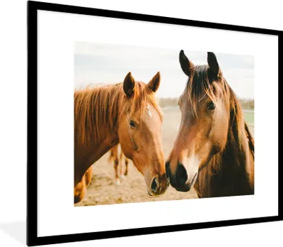 Produktbild von MuchoWow® Gerahmtes Poster Pferd - Strand - Tiere 80x60 cm - Poster mit Schwarzem Bilderrahmen Wandposter Rahmen Foto Bilder - Schlafzimmer-Dekorationen - Fotoposter