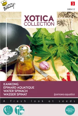 Produktbild von Vodní špenát Kankong | Semena špenátu od Buzzy Seeds
