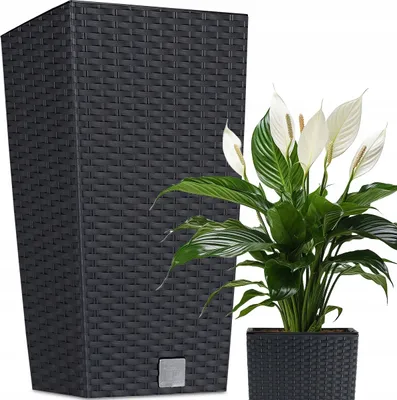 A tall, dark woven planter next to a potted peace lily plant with white flowers.