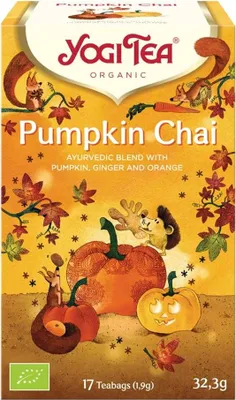 Produktbild von Pumpkin Chai - 17 Beutel 32,3g 2er Pack