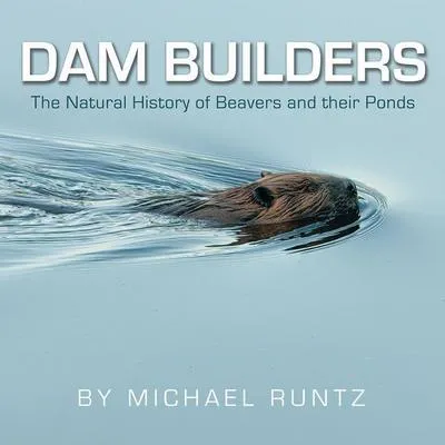 Immagine prodotto di Dam Builders
