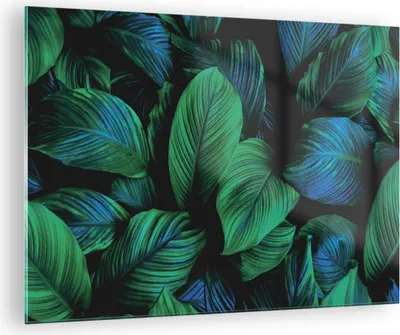 Produktbild von Bilder auf glas - Einteilig - Blätter Pflanzen Exotik - 70x50cm - Glasbilder - Wandbilder - Bilder - zum Aufhängen bereit - Wanddekoration aus Glas - Glas Bilder - Wandbild auf Glas - GAA70x50-5066