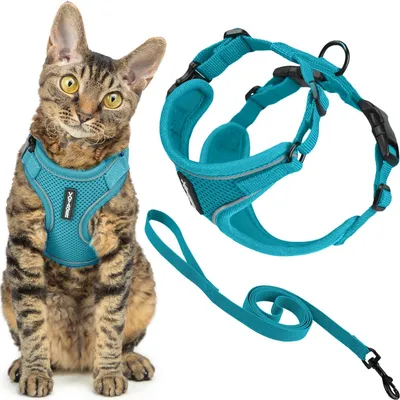 Image de Harnais et laisse pour chat antiefraction, ensemble avec coutures réfléchissantes