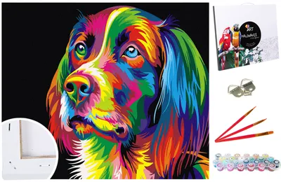 Produktbild von Malen nach Zahlen Set Gemälde 40x50cm auf dem Rahmen - Bunter Hund