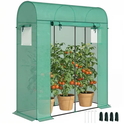 Productafbeelding van Tomatenkas, polytunnelkas met roldeur, gaasraam, gebogen dak, 170 x 68 x 200 cm, groen