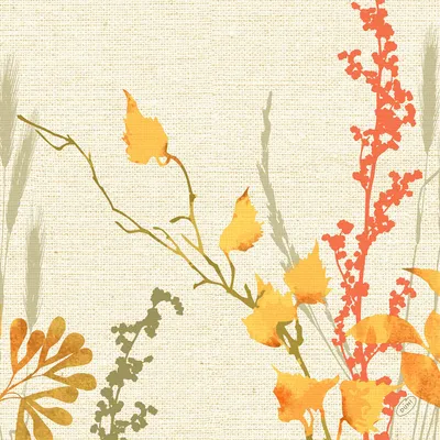 Obrázok produktu pre Duni classic obrúsky 4-vrstvové Fall Beauty 40 x 40 cm 50 kusov