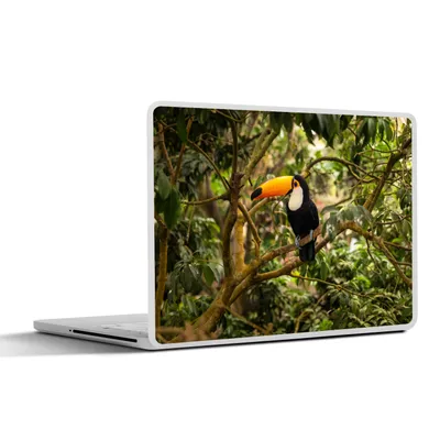 Produktbild von MuchoWow® Laptop Aufkleber Sticker Cover Vogel - Tukan - Dschungel - Natur - Tropisch 30x22 cm - Laptop-Sticker