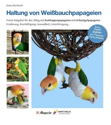 Image de Haltung von Weißbauchpapageien