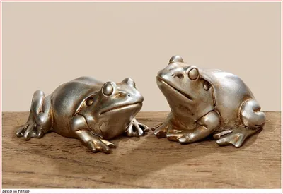 Produktbild von Froschset 2er Froschset Kunstharz Frosch silber Silberfrosch