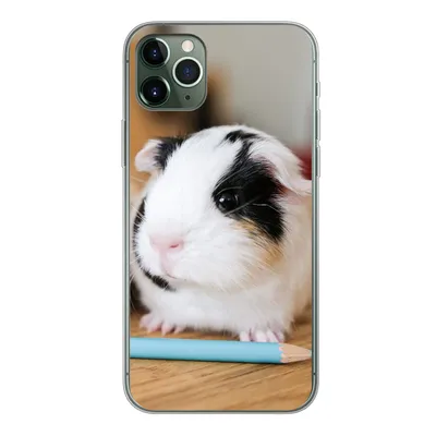 Produktbild von MuchoWow® Handyhülle Schutzhülle Hülle für iPhone 11 Pro Max Entzückende Baby-Meerschweinchen Silikon Softcase Handy Hülle - Schutz