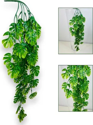 Produktbild von Girlande mit Monsterablättern, Monstera-Anhänger 73 cm, grün