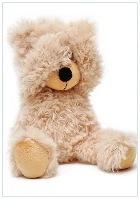 Produktbild von Wallario Premium Glasbild, freischwebende Optik, kräftige Farben, Größe 100 x 70 cm Motiv Süßer Teddybär