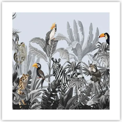 Produktbild von Poster - Poster ohne Rahmen - Dschungel Tiere Tukane - 40x40 cm - Wand Bild - Wanddeko - Wandbilder - Kunstposter - Wandposter - Bilder - Kunstdruck - Wanddekoration - Wandbild - P2XAC40x40-4662