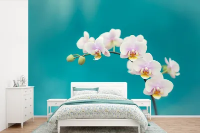Produktbild von MuchoWow® Fototapete für Wohnzimmer oder Schlafzimmer Wandtapete Vinyl Motivtapete Orchidee - Blumen - Pflanze - Weiß - Lila - 450x300 cm - Gemusterte