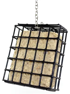 Produktbild von Pfiffikus Vogel-Buffet Spenderbox