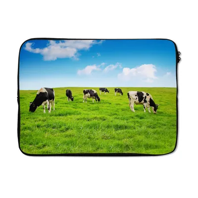 Produktbild von MuchoWow® Laptop Hülle 14 ZollKuh - Gras - Himmel Laptoptasche - Laptoptasche - Stoßsicher - Schutzhaube