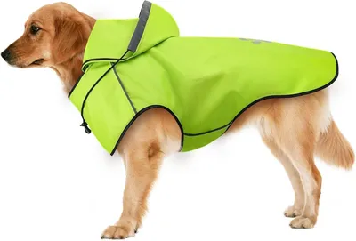 Produktbild von Wasserdichte Welpenregenjacke mit Kapuze