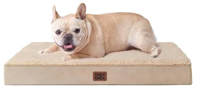Produktbild von Orthopädisches Hundebett 76x51cm Waschbar Khaki