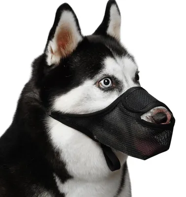 Produktbild von Maulkorb für Hunde S atmungsaktives Netz verstellbar Nylon