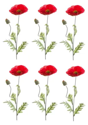Produktbild von 6er Set künstliche Mohnblumen mit 1 Blüte rot H. 70cm Emerald Kunstblumen