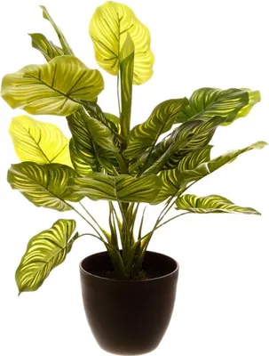 Image de Plante artificielle en pot, décorative, 45 cm