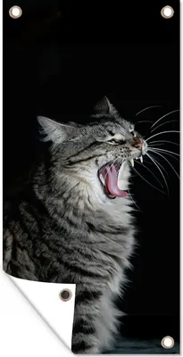 Produktbild von MuchoWow® 40x80 cm Outdoor-Poster Gartendeko Sichtschutz Garten Poster für den Garten  Gaffende Katze