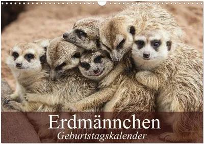 Produktbild von Erdmännchen (Wandkalender 2026 DIN A3 quer), CALVENDO Monatskalender