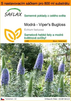 Obrázek produktu pro SAFLAX Garden in the bag - Modrá - Viper's Bugloss - Echium fastuosa - 100 Semena - S pěstebním substrátem v praktickém samovztyčovacím sáčku