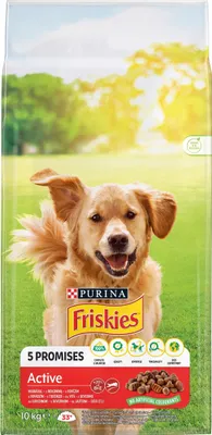 Obrázek produktu pro PURINA Friskies Active - suchá krmiva pro psy - 10 kg