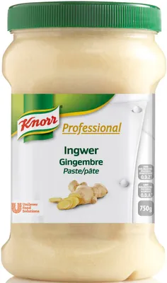 Immagine prodotto di Pasta di spezie professionale Knorr Zenzero