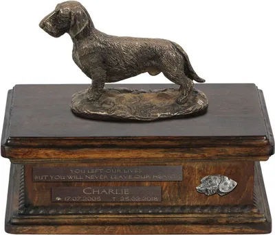 Produktbild von Dachshund Rauhhaar, Dackel, Teckel urne in Hundeasche, personalisierte Urne mit Statue, Holzurne mit Hund von Art-Dog