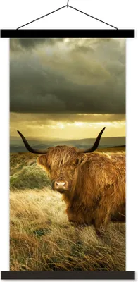 Produktbild von MuchoWow® Textilposter Schottische Hochlandrind - Licht - Natur 60x120 cm mit schwarzem Rahmen - Magnete