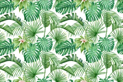 Produktbild von Muralo Fototapete 450 x 300 cm Vlies Tapete Wandtapeten moderne Wandbilder XXL Monstera Palmen Exotisch