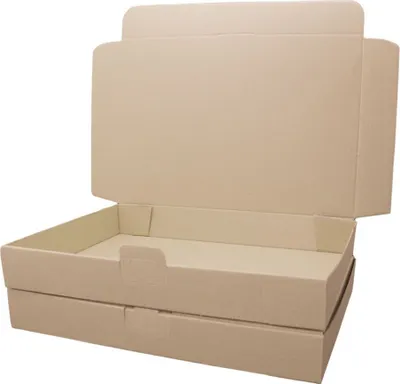 Produktbild von Maxibrief Karton Weiß/Braun 240 x 160 x 50 mm braun 100