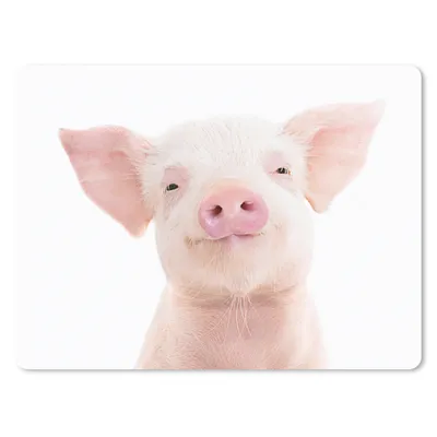 Produktbild von MuchoWow® Mauspad Mousepad Schwein - Rosa - Tiere - Natur 23x19 cm - Mousepads - Maus Mat - Pad - Mausunterlage - Schreibtischunterlage - Mauspad