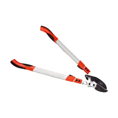 Obrázek produktu pro Teleskopické nůžky na větve s ráčnou. Délka: 75-100 cm