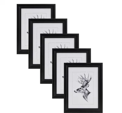 Produktbild von WOLTU 5er Set Bilderrahmen, Artos Stil Holzrahmen Glasscheibe, schwarz, 10x15 cm