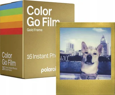 Zdjęcie produktu dla Polaroid Go Color Gold Frame 2-pack