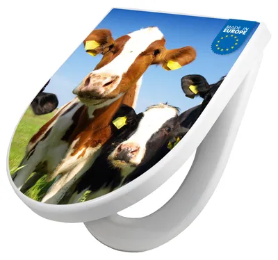 Produktbild von WC Sitz mit Absenkautomatik D Form Motiv Kühe [TDW3 10225]