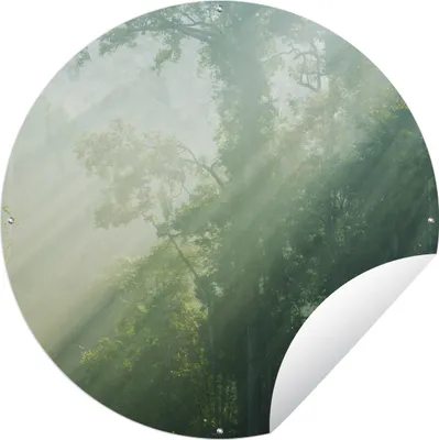 Produktbild von MuchoWow® Gartenposter Outdoor-Poster Rund Sonnenstrahlen in einem grünen Wald in Malaysia Ø 150 cm Gartendeko Rundes Poster draußen