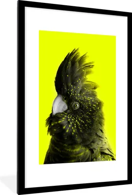 Produktbild von MuchoWow® MuchoWow® Gerahmtes Poster Kakadu - Vogel - Gelb 60x90 cm - Poster mit zchwarzem Bilderrahmen - Dekoration - Wandposter Wohnzimmer - Hochwertig
