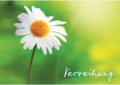 Produktbild von Gänseblümchen - Postkarte im Format 10,5 x 14,8 cm - Verzeihung