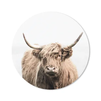 Produktbild von MuchoWow® Mauspad Mousepad Porträt Schottischer Highlander - Tiere 40x40 cm - Mousepads - Maus Mat - Pad - Mausunterlage - Schreibtisch Accessoires