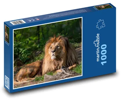 Obrázok produktu pre Puzzle 1000 Kráľ Zvierat - Lev - martinpuzzle